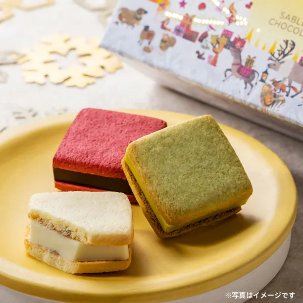 サブレショコラ（5個入）