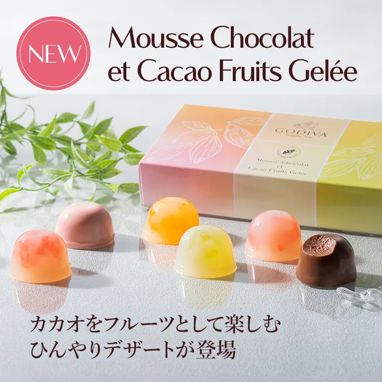 ムースショコラ エ カカオフルーツジュレ