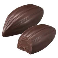 Cacao fruit カカオフルーツ