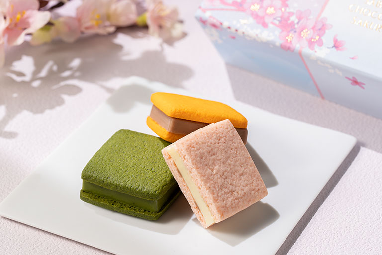 サブレショコラ 桜