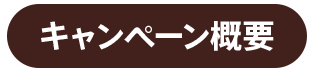 キャンペーン概要
