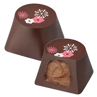 キャラメル ガナッシュ ダークチョコレート