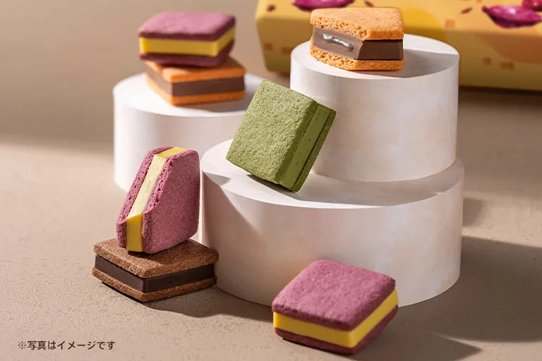 サブレショコラ オータムアソートメント