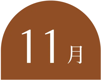 11月