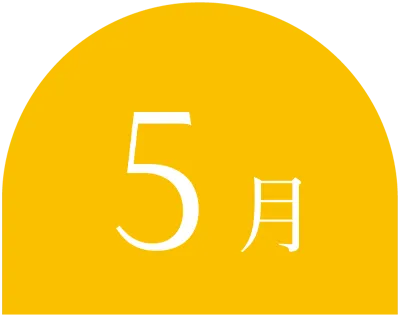 5月