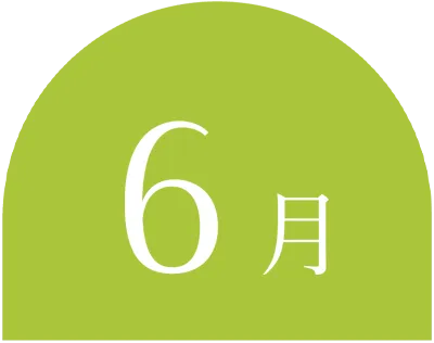 6月