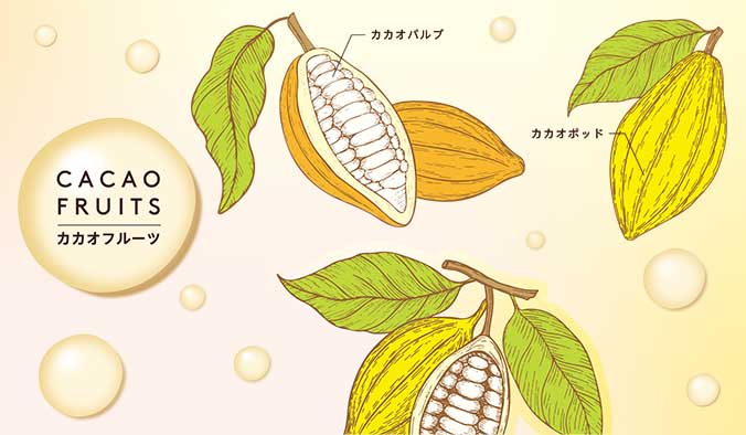 カカオフルーツシリーズ Godiva