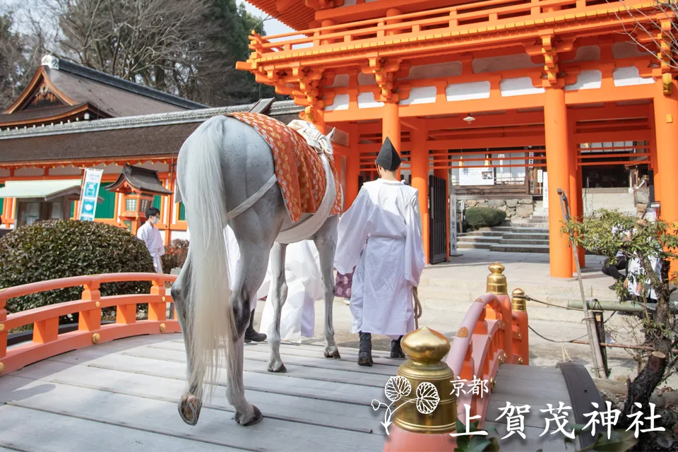 ニューイヤー フォーチュン コレクション 2026