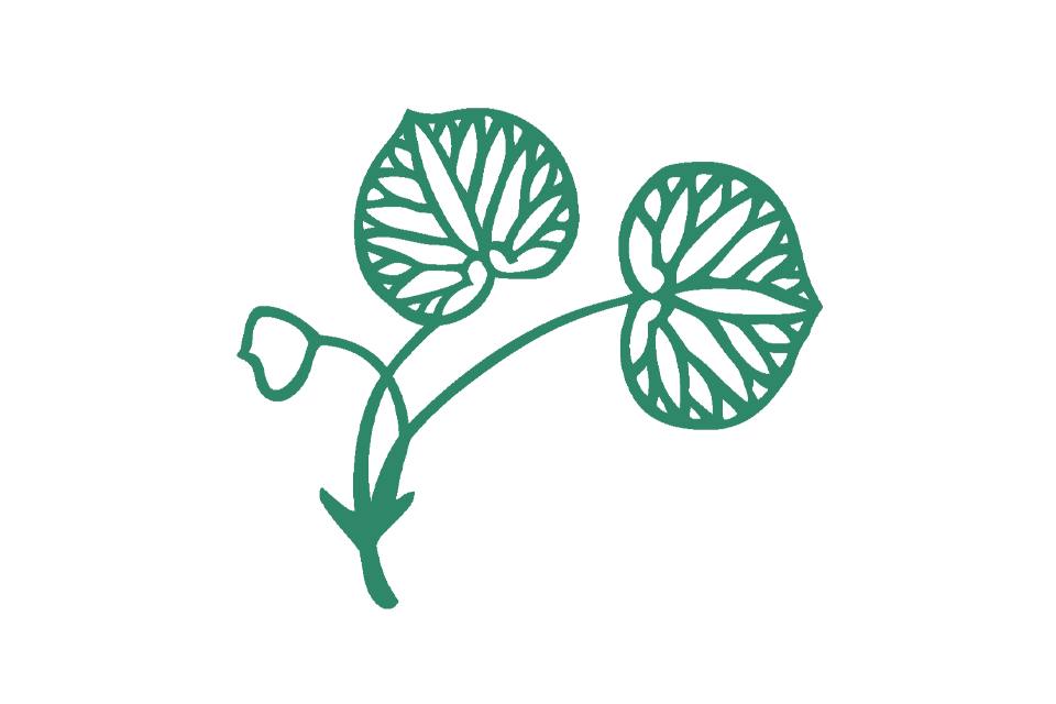 ニューイヤー フォーチュン コレクション 2026