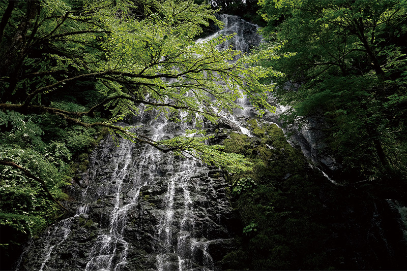 FUKUI HAPPINESS 来る人も住む人もしあわせ福井 福井県