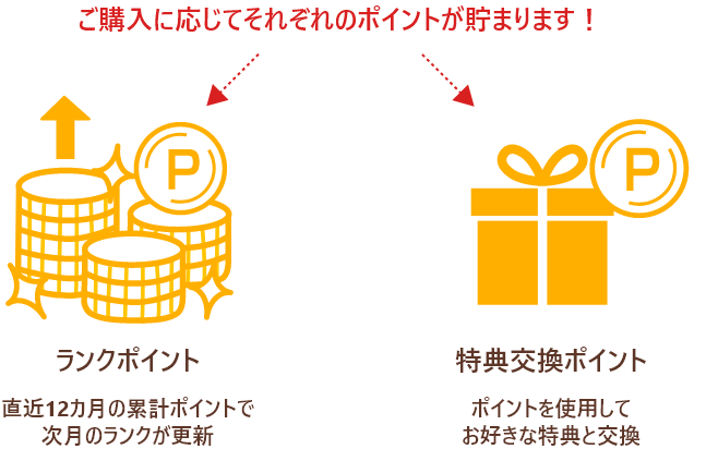 ご購入に応じてそれぞれのポイントが貯まります！ランクポイント=直近12カ月の累計ポイントで
次月のランクが更新_特典交換ポイント=ポイントを使用してお好きな特典と交換。