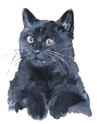黒ネコ