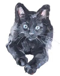 黒ネコ