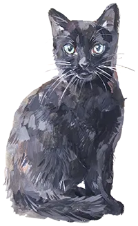 黒ネコ