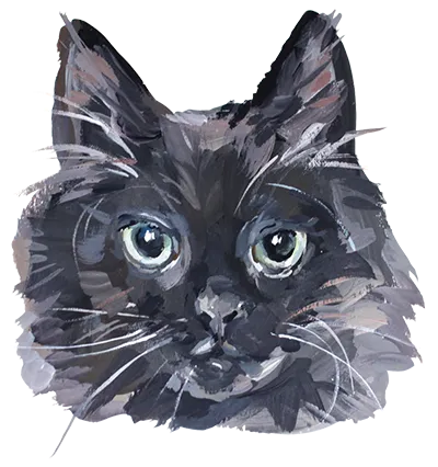 GODIVA Black Cat