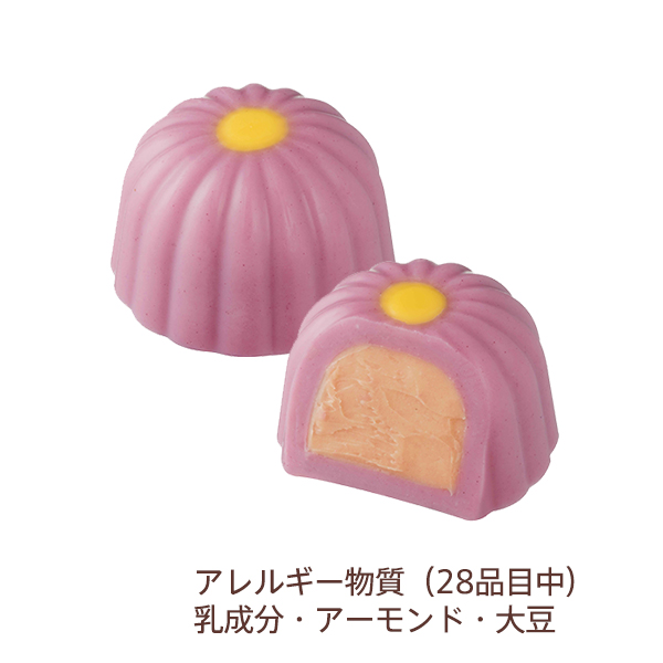 ラズベリー フラワー ガナッシュ (アラカルト・配送指定不可)