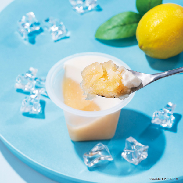凍らせて食べる カカオフルーツ&瀬戸内レモン シャーベット