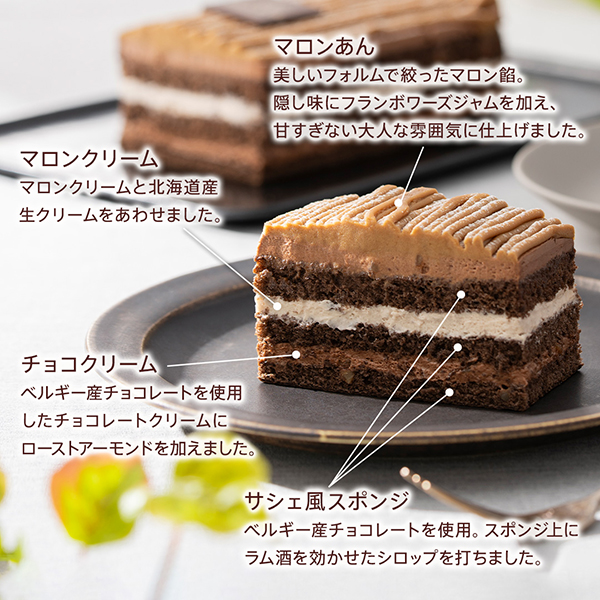 【送料込】ショコラモンブラン