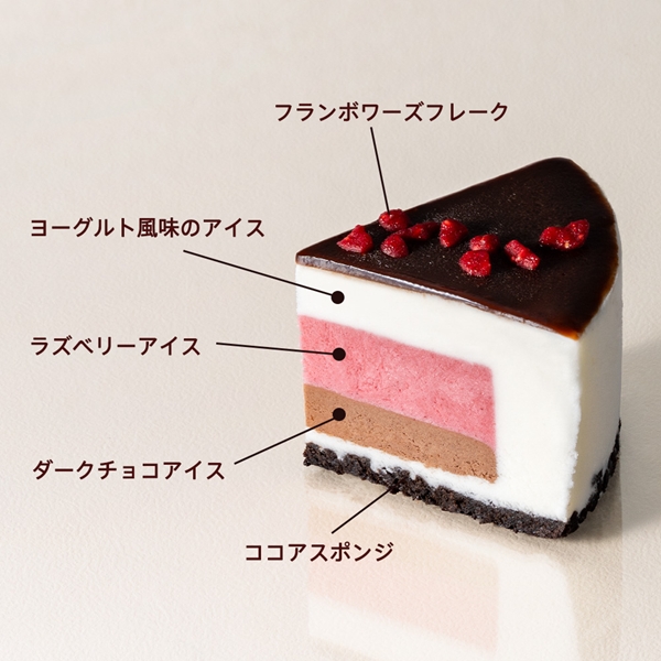 【オンラインショップ限定・送料込】アイスケーキ ショコラフランボワーズ