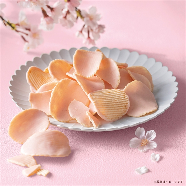✨新品希少LL❣✨大人気ゴディバチョコ色❣✨大人カワイイ