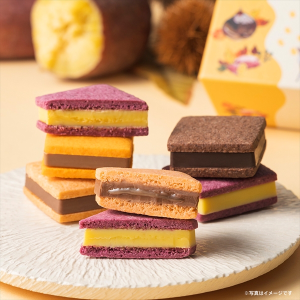 サブレショコラ オータムアソートメント（5個入）