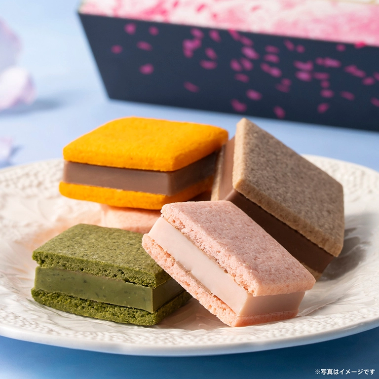 個包装のチョコレートスイーツ