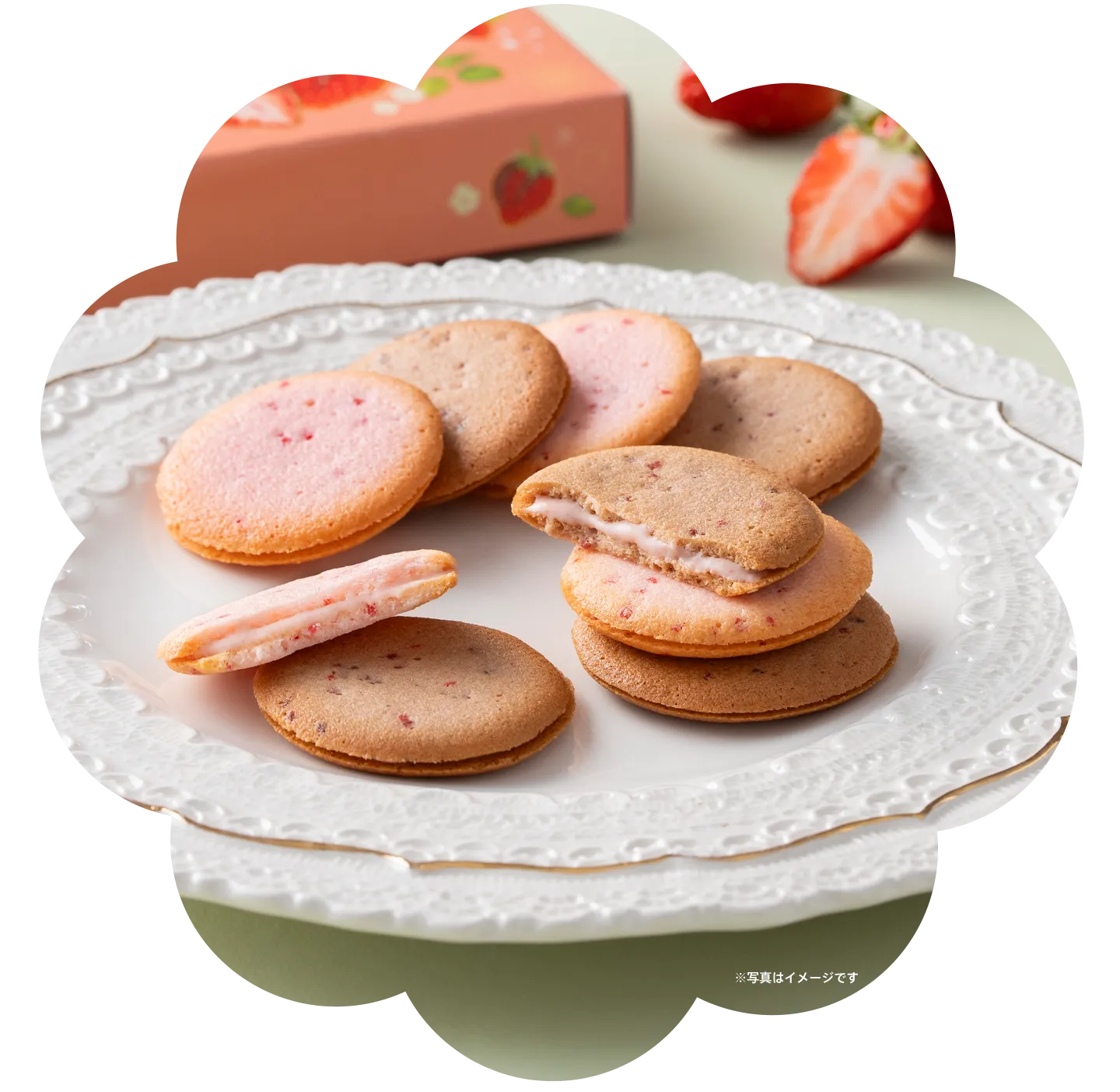 あまおう苺ラングドシャクッキー