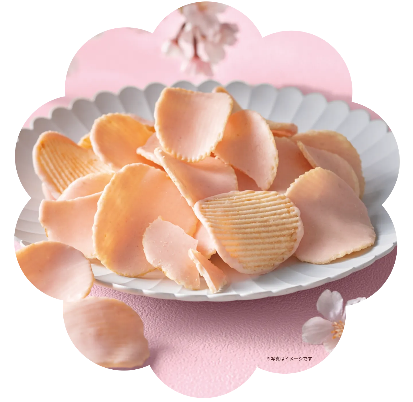ポテトチップス チョコレート 桜