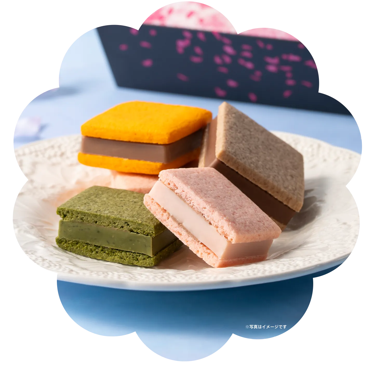 サブレショコラ 桜