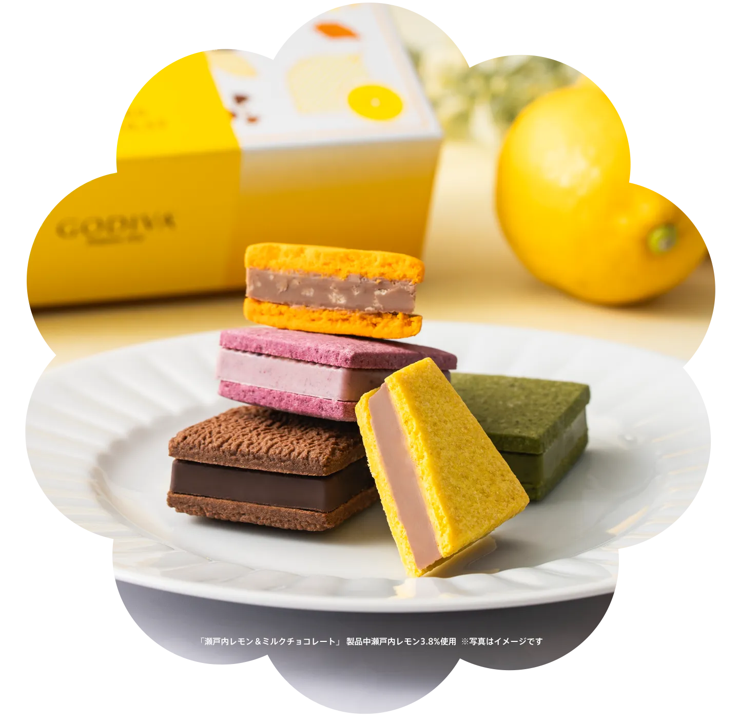 サブレショコラ 瀬戸内レモン