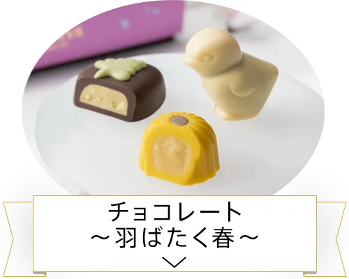 チョコレート～羽ばたく春～