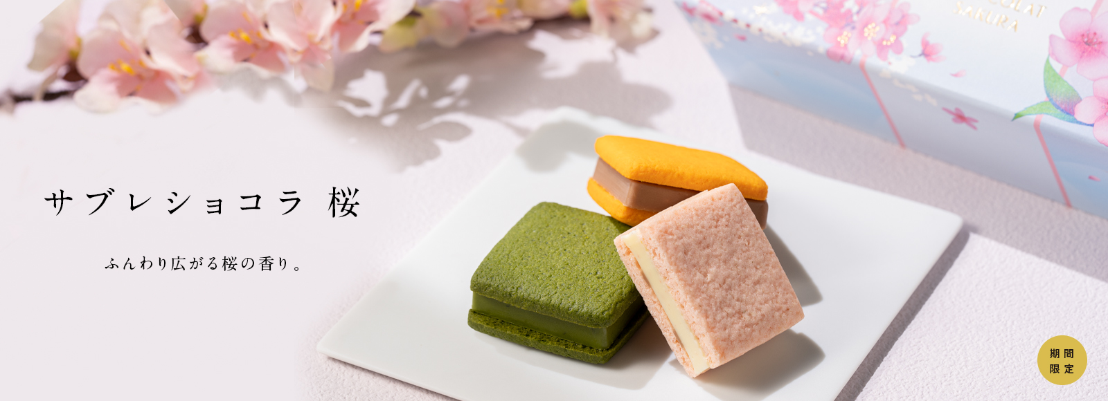 サブレショコラ桜