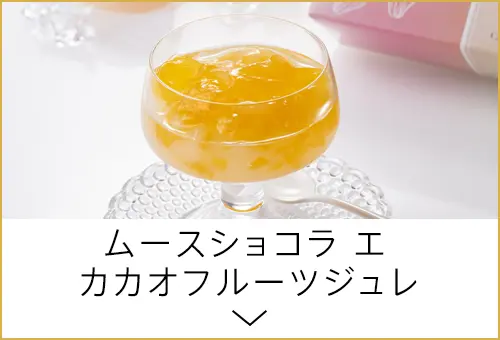 ムースショコラ エ カカオフルーツジュレ