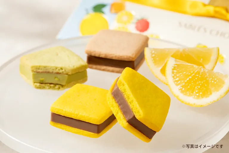 サブレショコラ