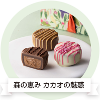 森の恵み カカオの魅惑