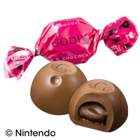 G ショコラ／ミルクチョコレート 塩キャラメル ガナッシュ