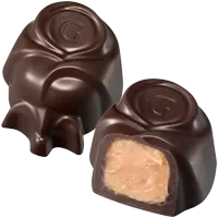 ダーク ローズヒップ