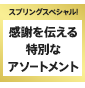 スプリングスペシャル！感謝を伝える特別なアソートメント