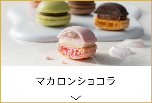 マカロンショコラ