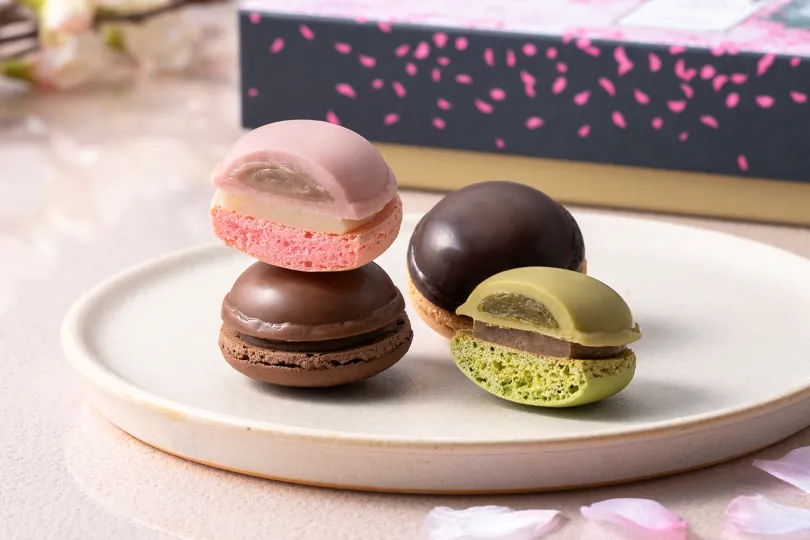 ゴディバ マカロンショコラ