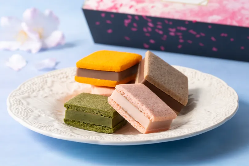 サブレショコラ 桜